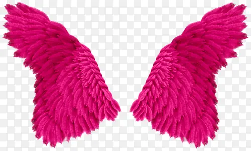 漂亮的粉红色羽毛翅膀