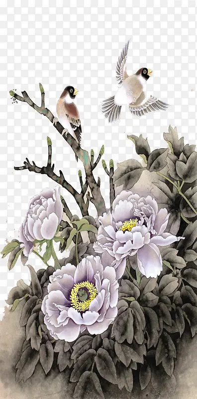 鸟