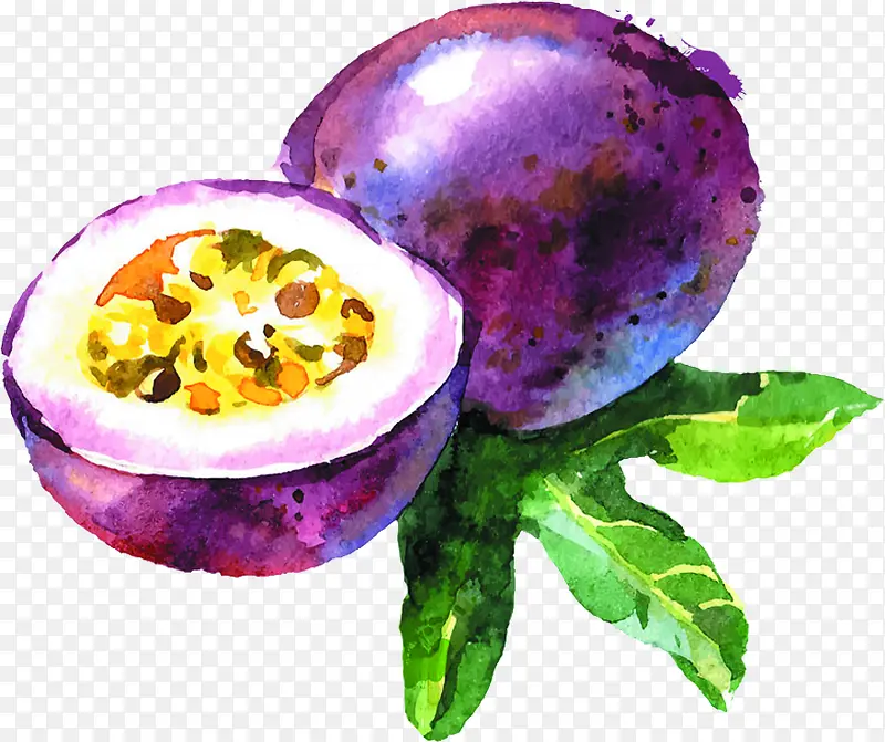 紫色手绘百香果水果
