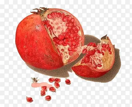 手绘水彩绘画水果石榴