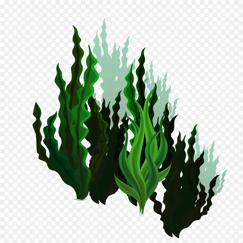 绿色海底生物海带