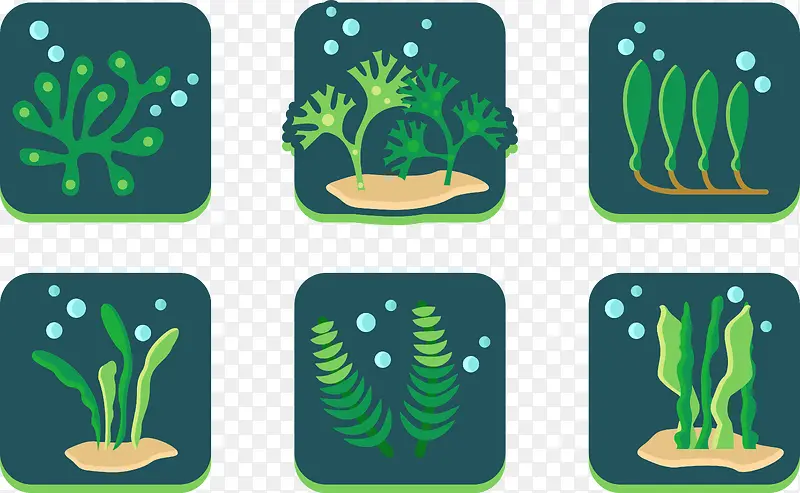 海底生态海藻合集