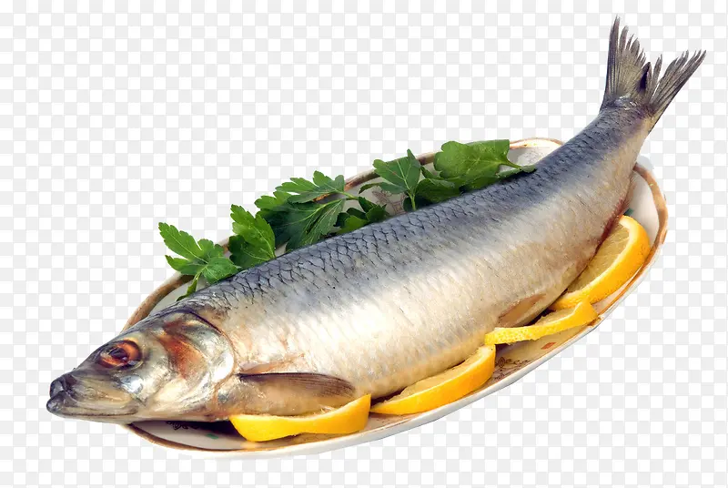 新鲜鱼食材