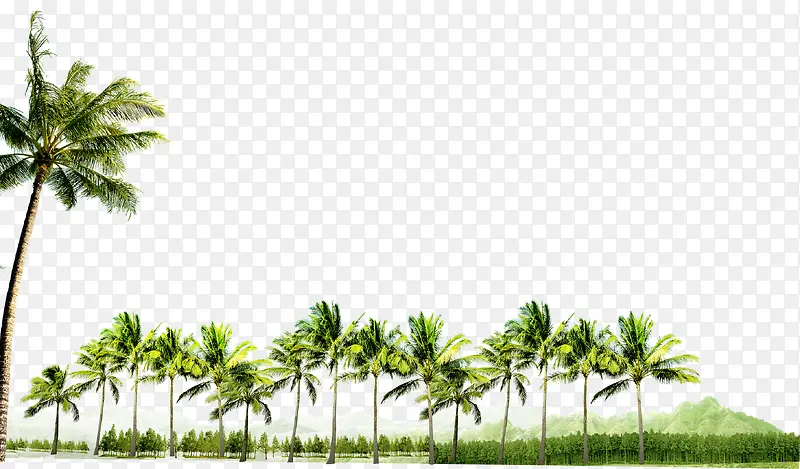 椰子树树林装饰图案