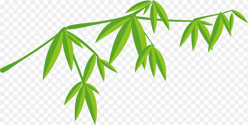 精美绿色竹子设计