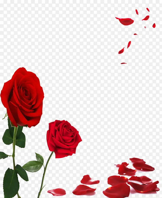 红色浪漫玫瑰墙绘