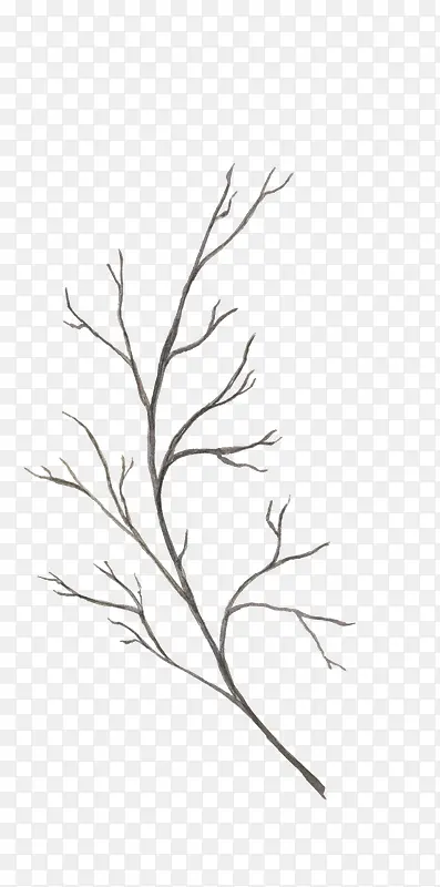 枯枝树干植物图案