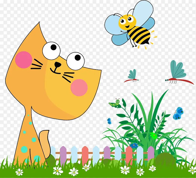 猫咪追着小蜜蜂