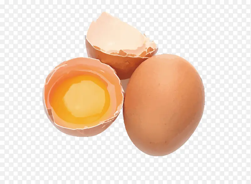 鸡蛋和鸡蛋黄矢量