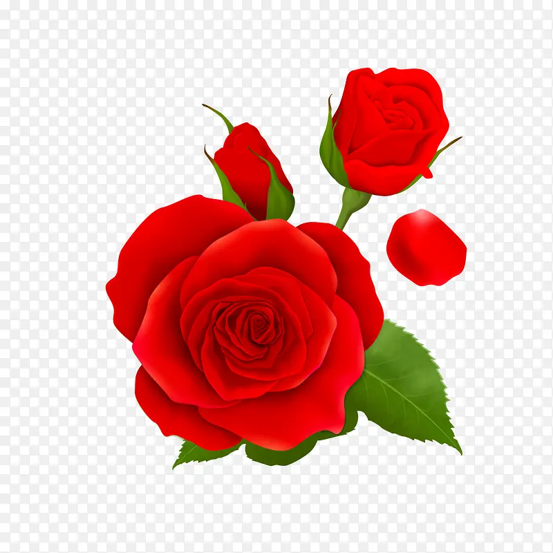 红色玫瑰花矢量图装饰