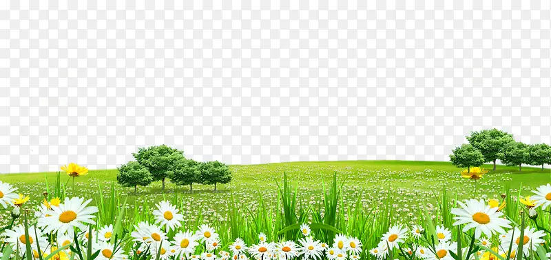 白色花朵草地边框纹理