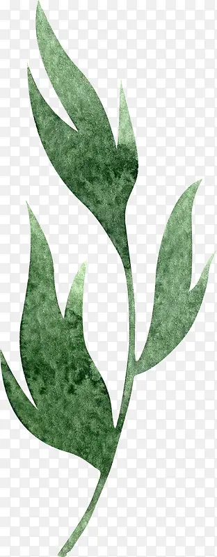 绿色植物装饰素材图案