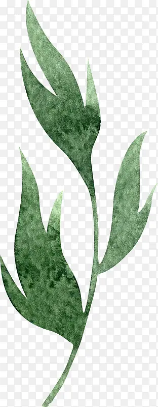 绿色植物装饰素材图案PNG图片素材下载_图片编号7682992-PNG素材网