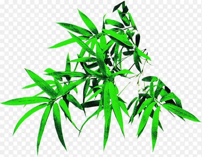 水墨风手绘植物绿色竹叶