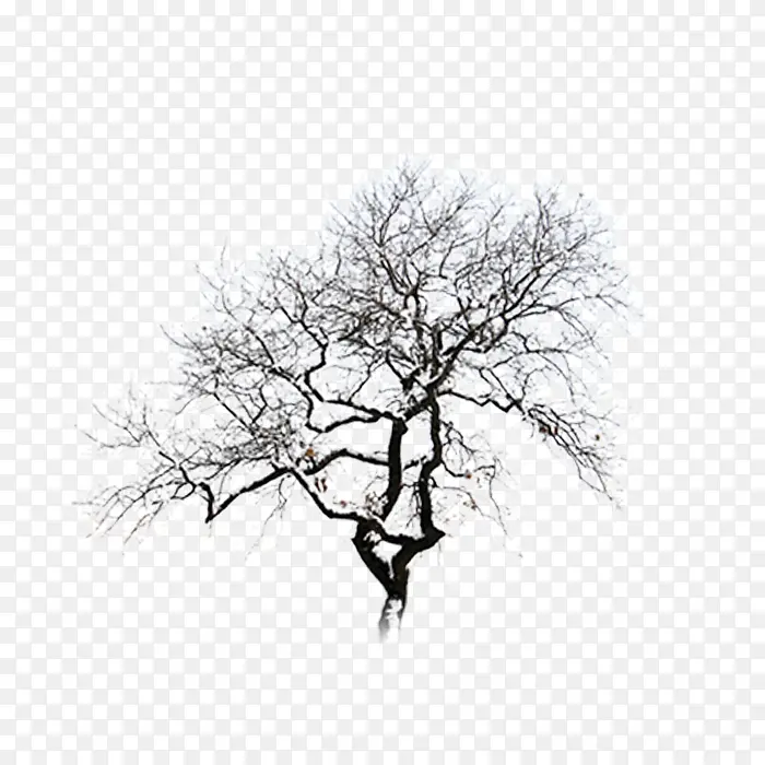 手绘树PNG图片素材下载_图片编号7687444-PNG素材网