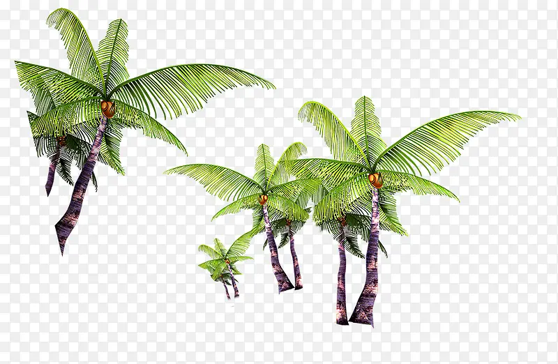 椰子树群装饰