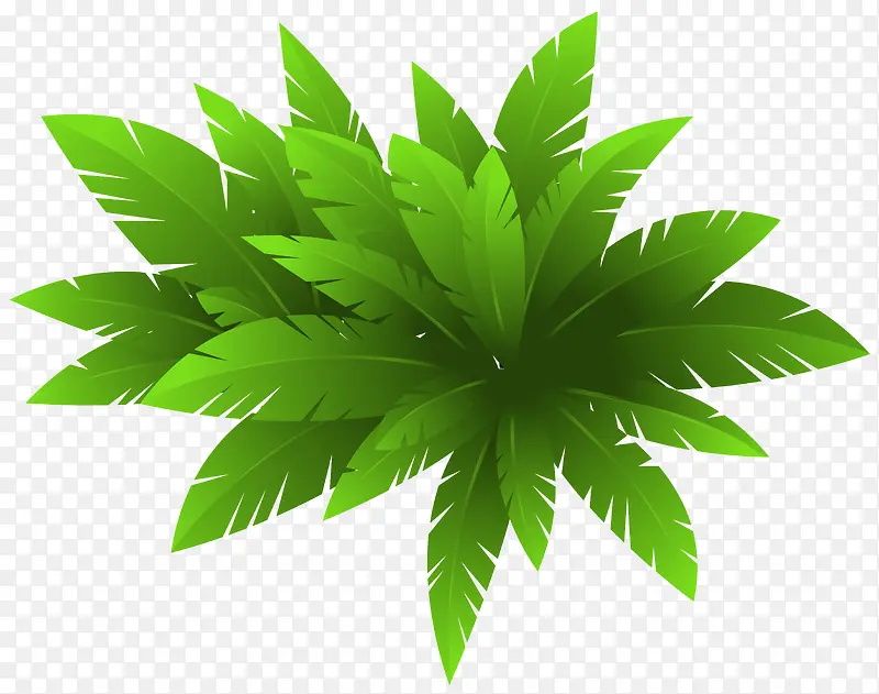 热带绿色植物元素