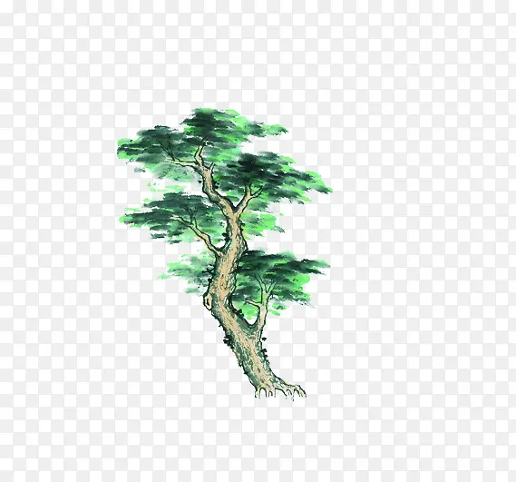 一棵松树