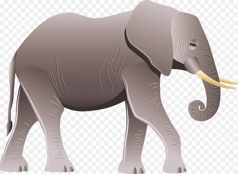 大象动物园手绘元素