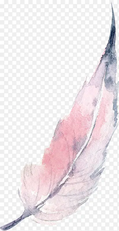 粉色手绘的羽毛装饰
