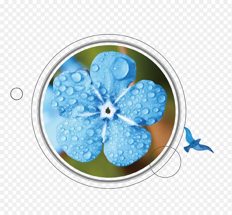 蓝色唯美花朵图标