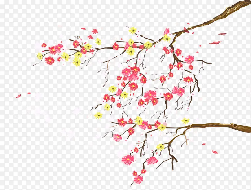 两枝梅花PNG图片素材下载_图片编号7704093-PNG素材网