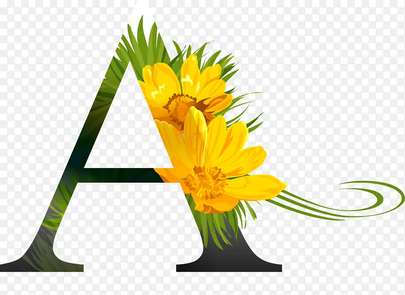 装饰字母A和小菊花