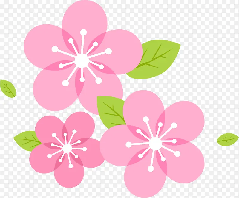 粉色春季美丽花朵