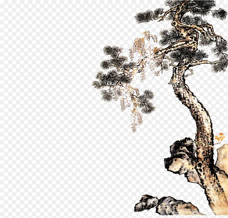 松树PNG图片素材下载_图片编号7706946-PNG素材网