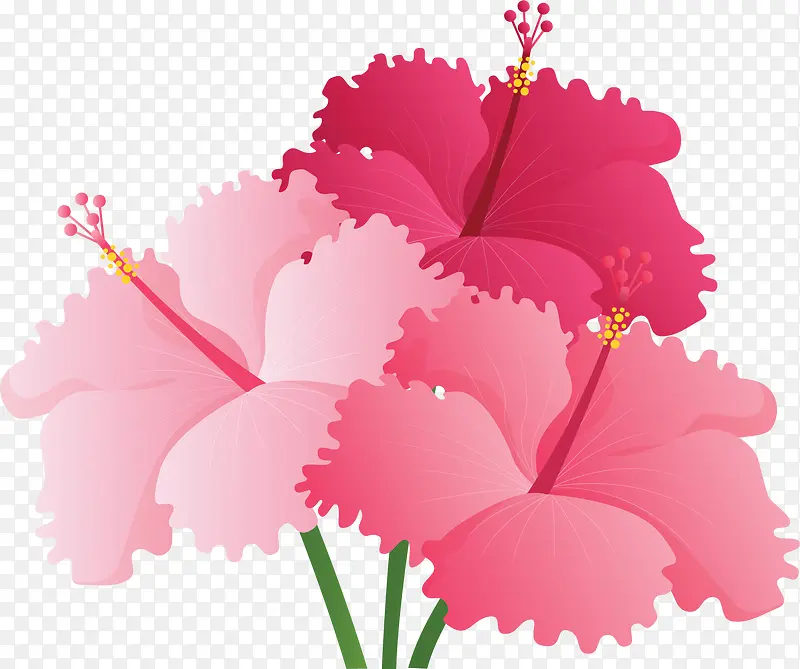 夏天美丽粉色花丛