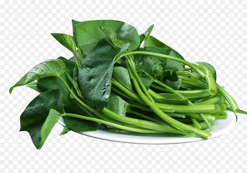 新鲜的空心菜
