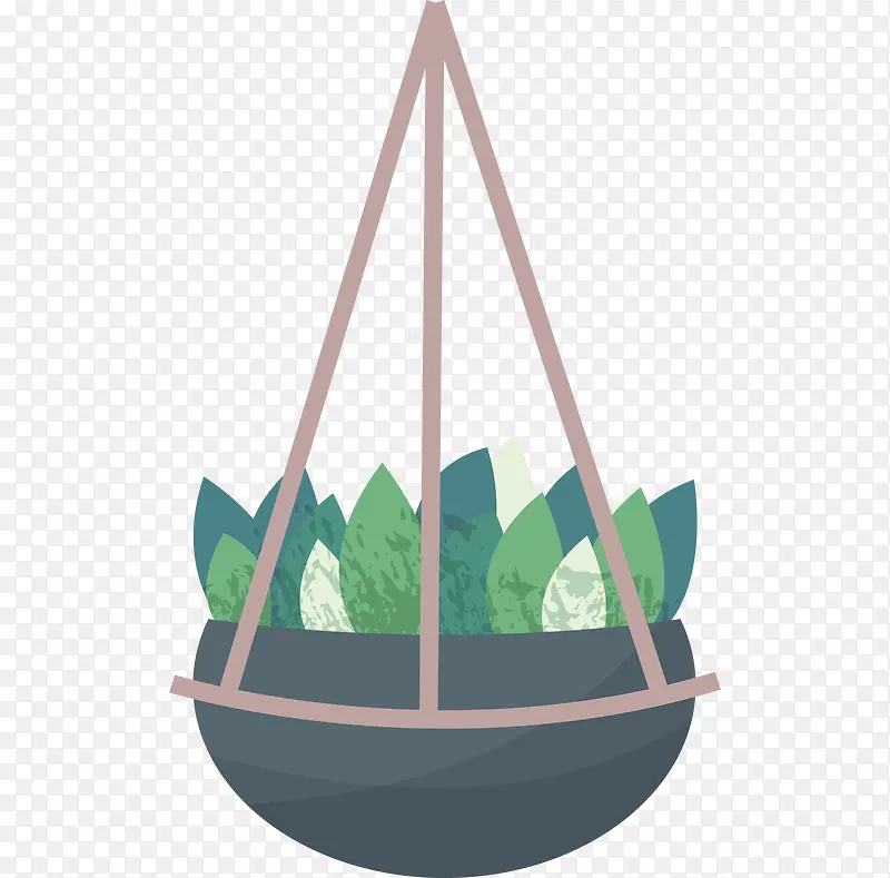 一个绿色植物吊篮