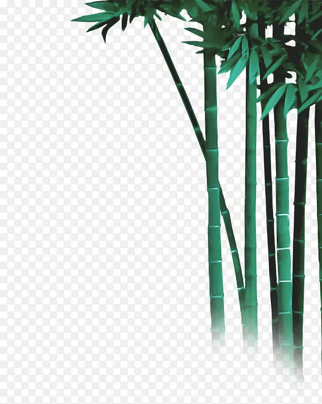 青竹素材PNG图片素材下载_图片编号7709927-PNG素材网