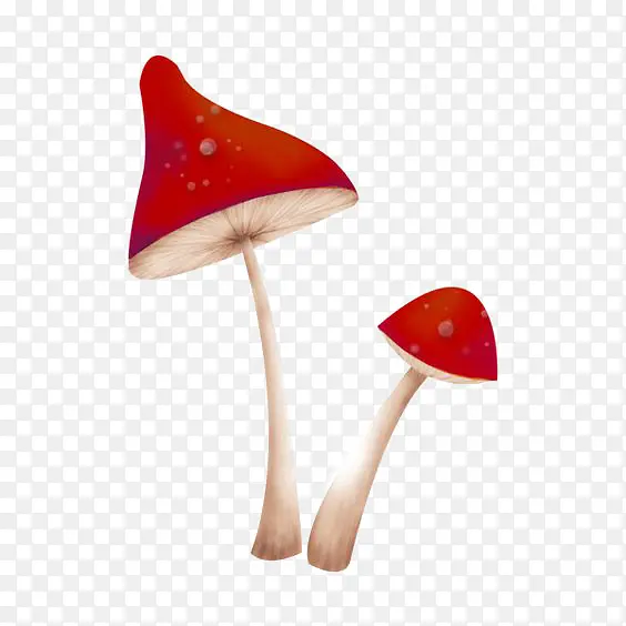 红蘑菇插画