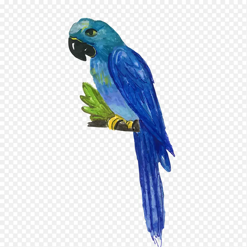手绘蓝色的鹦鹉设计