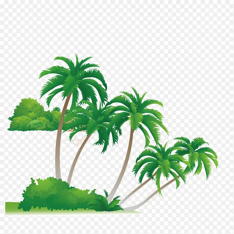 夏日椰子树
