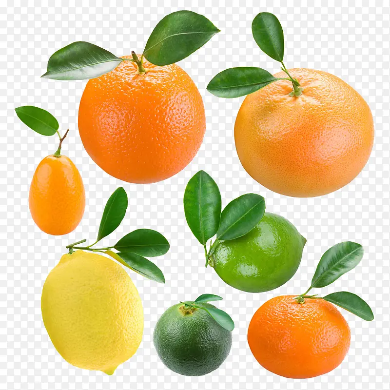 橙子柠檬素材