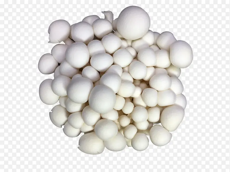 白色的蘑菇