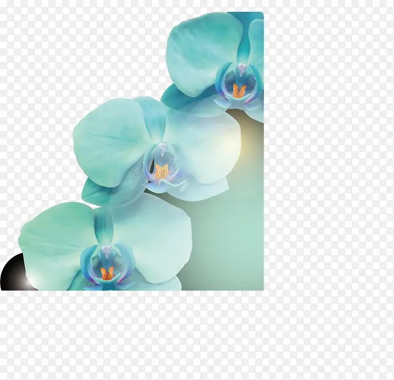 梅花，花朵，淘宝素材，花絮，矢