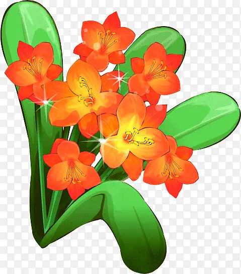 红色的花