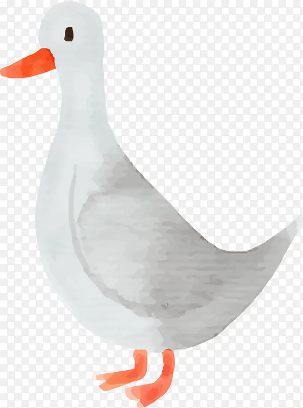 手绘可爱白色鸭子