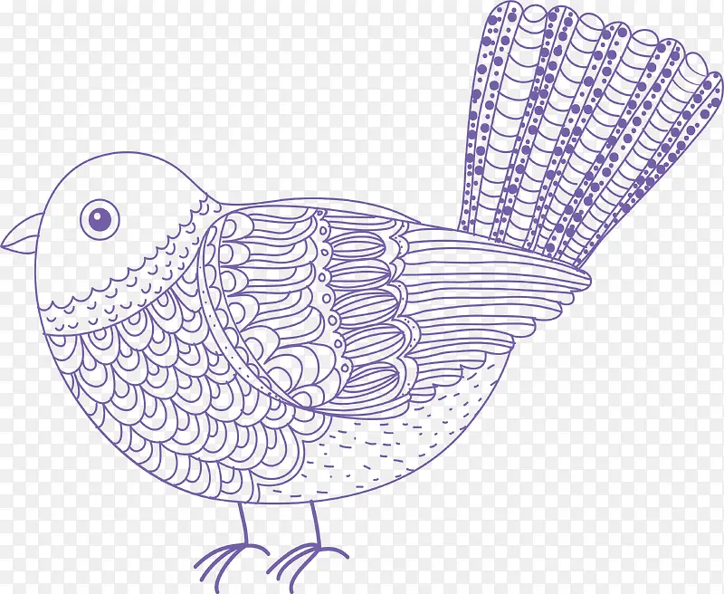 紫色手绘的小鸟
