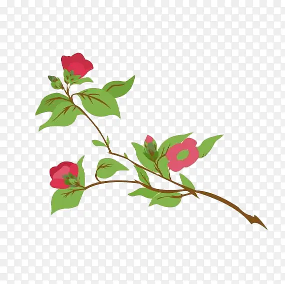 一枝卡通山茶花插画免抠PNG图片素材下载_图片编号7726457-PNG素材网