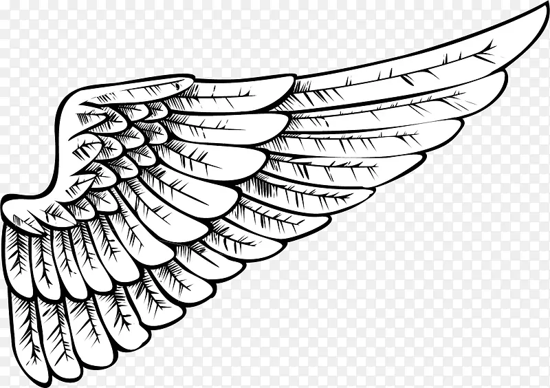 半边手绘细致的天天使之翼