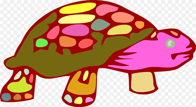 彩色的乌龟