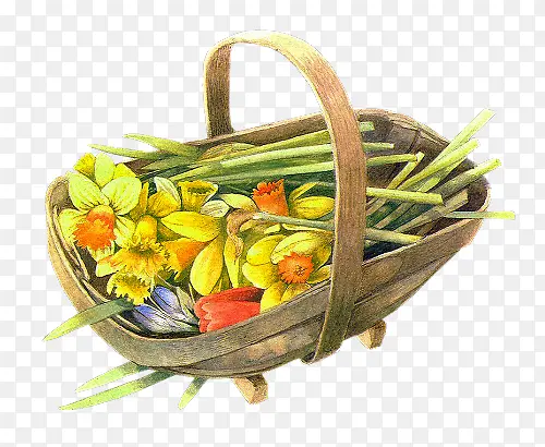花矢量图 花篮