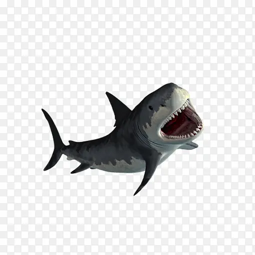 灰色圆弧鲨鱼元素