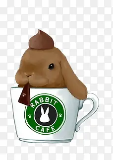 咖啡兔