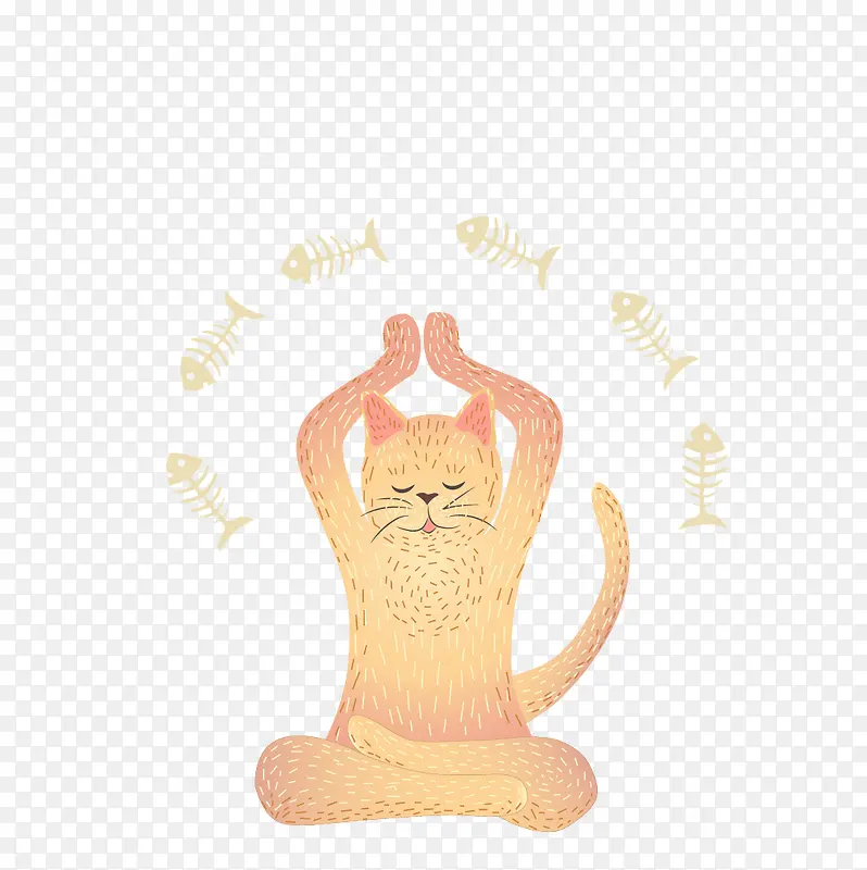 瑜伽猫