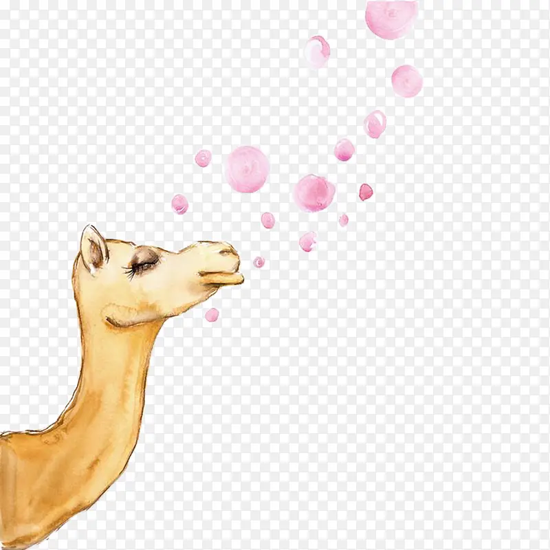 手绘骆驼与泡泡